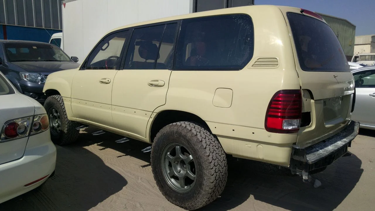 Dhanno repaint