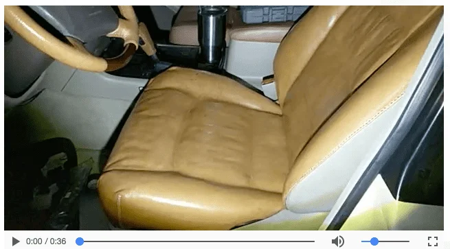 Dhanno with new leather seat