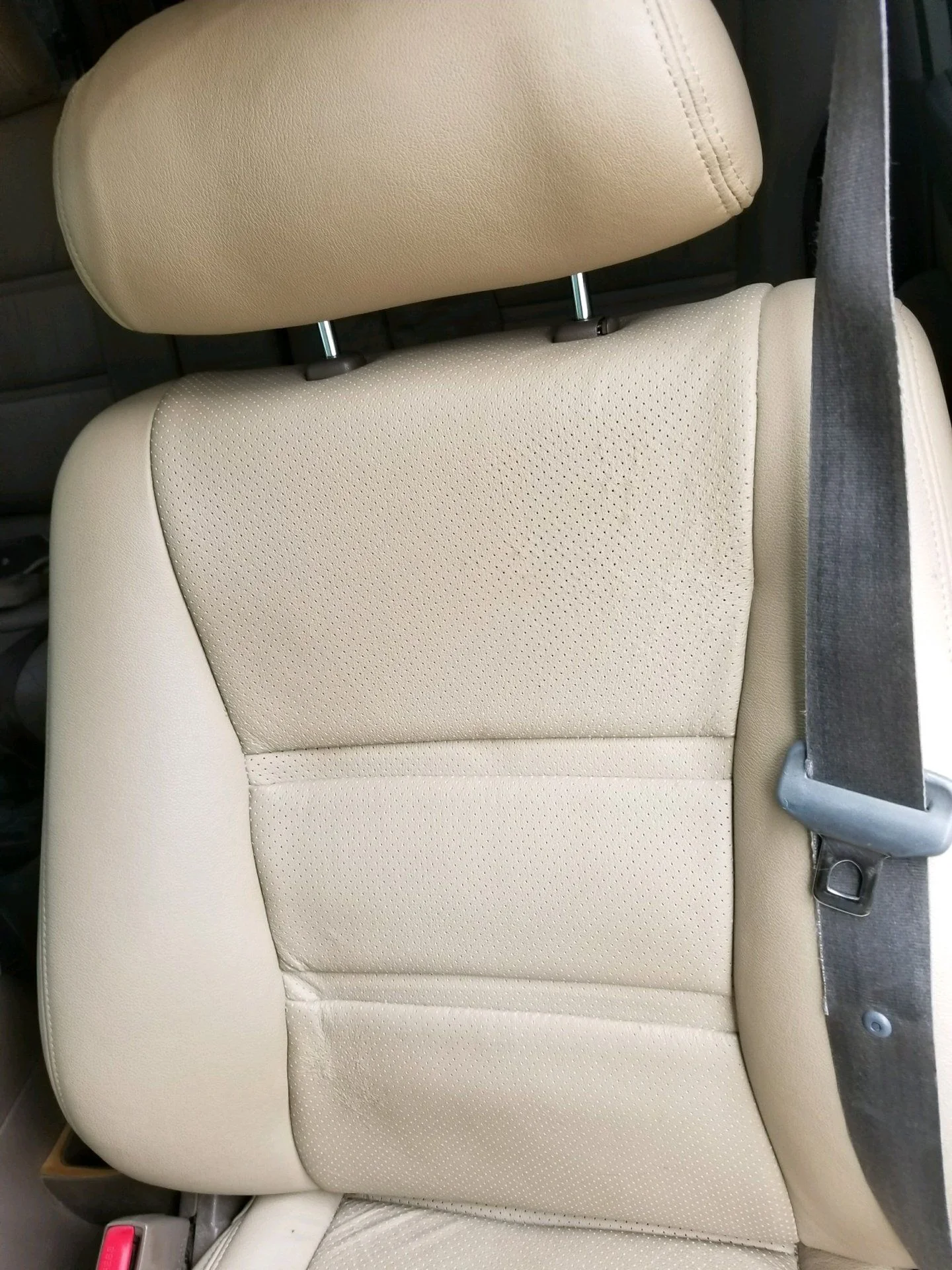 Driver Perforated LSeat Leather