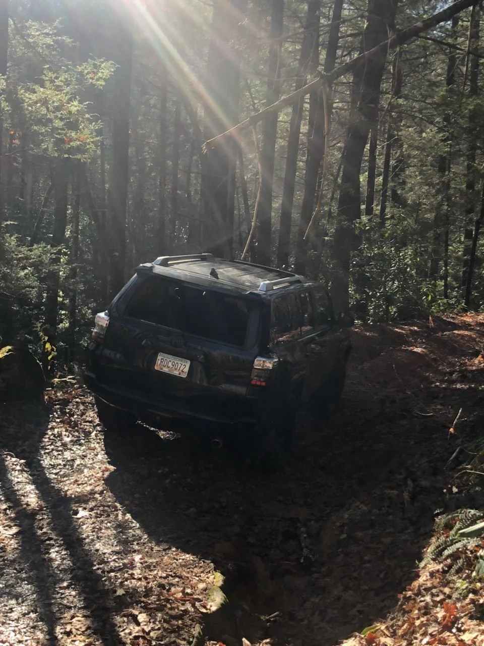 Drove better going in than coming back: (