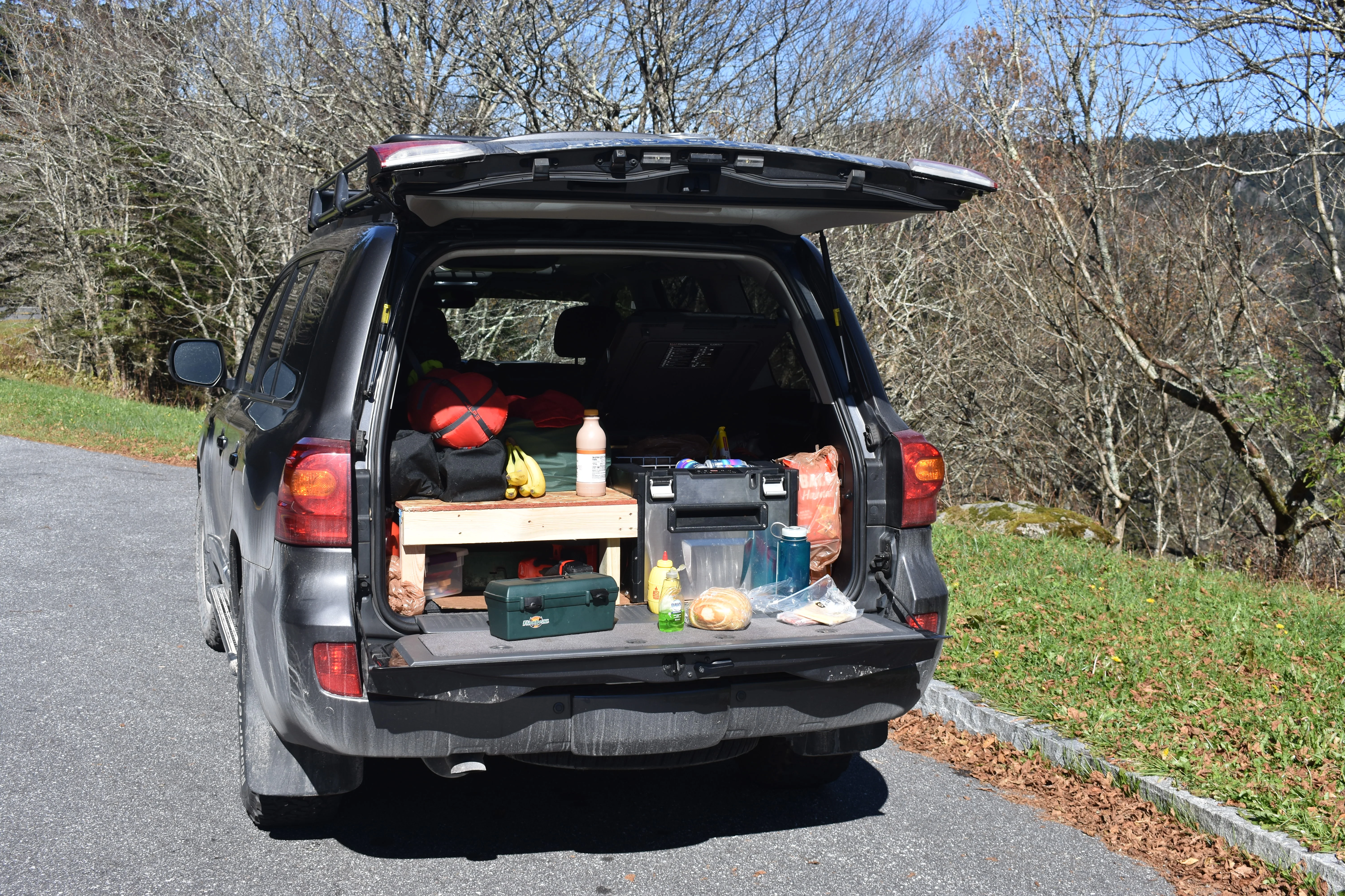 DSC_0876.JPG