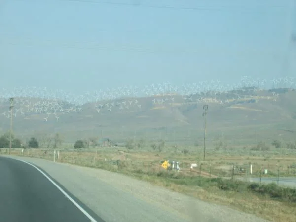 DSCF6186