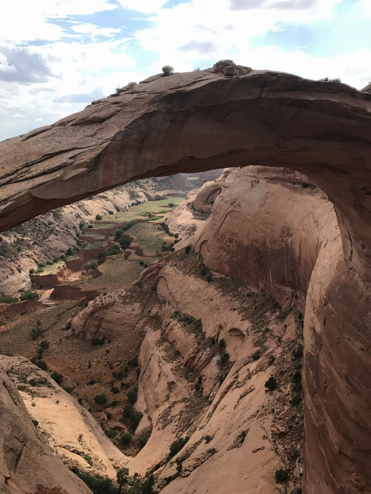 Eggshell arch