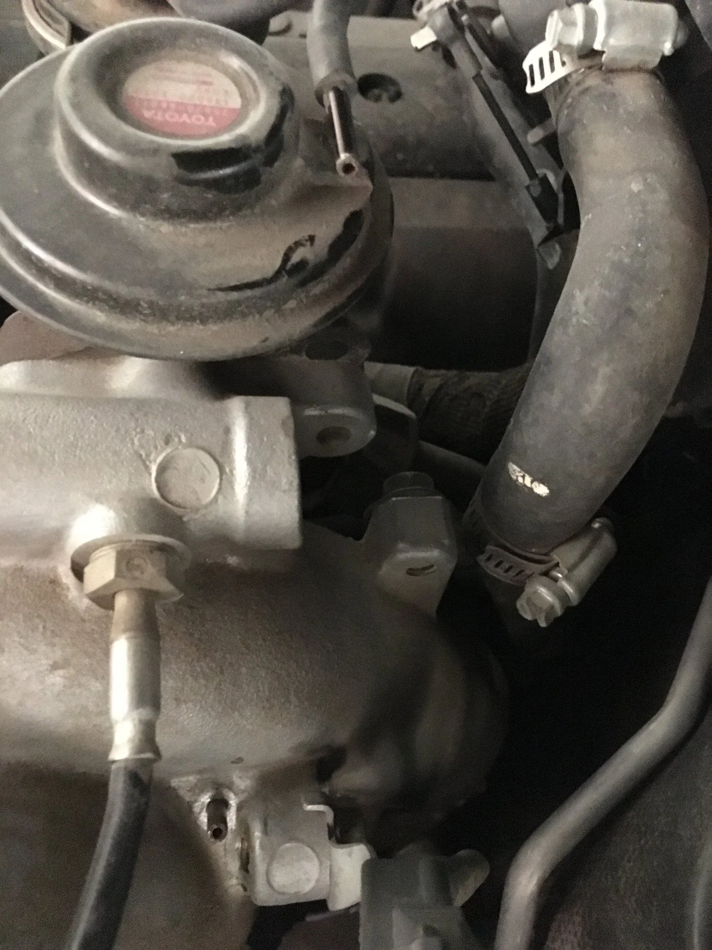 EGR Valve