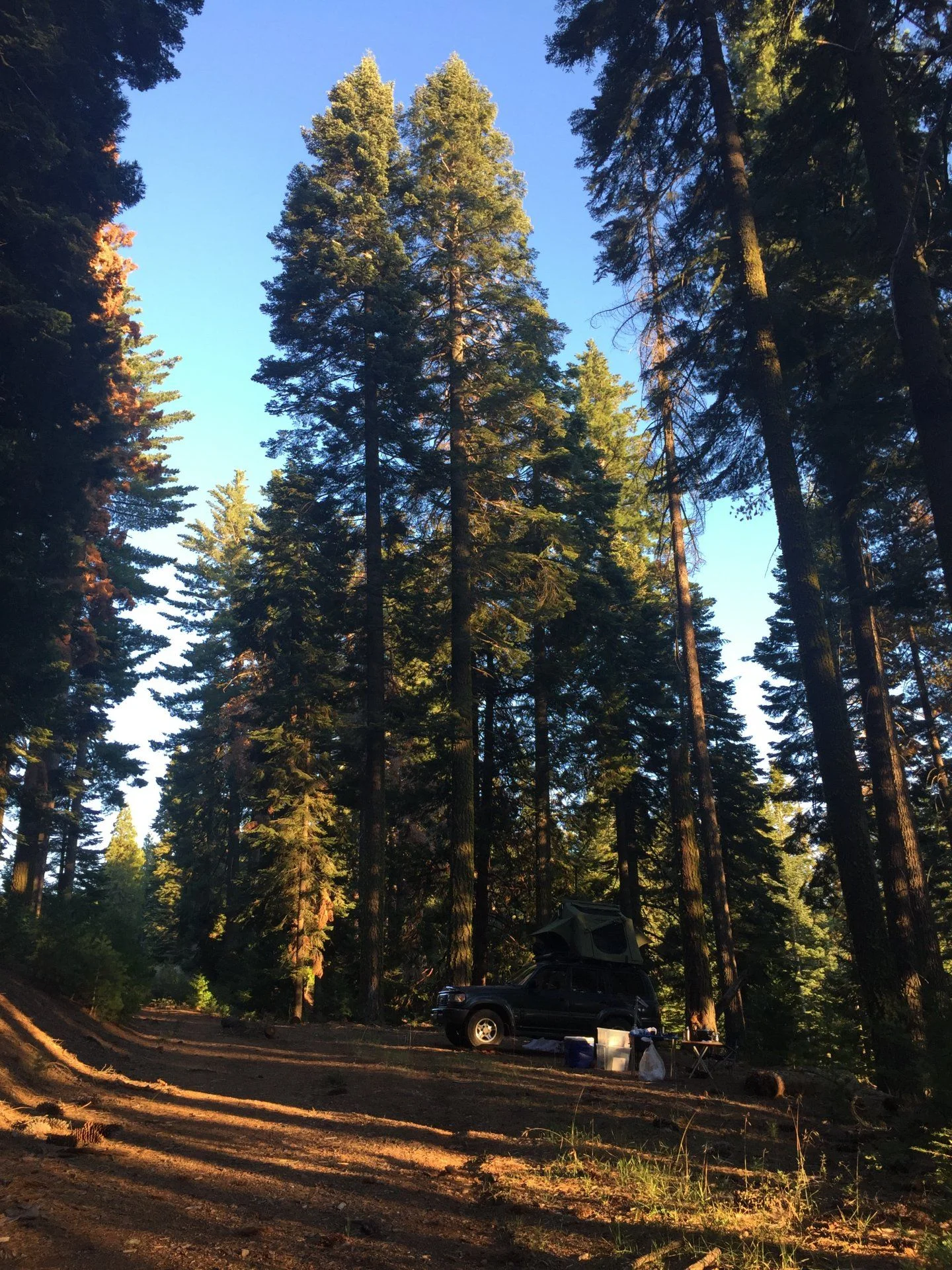 Eldorado National Forest 8/2016 Original spot IH8MUD Forum