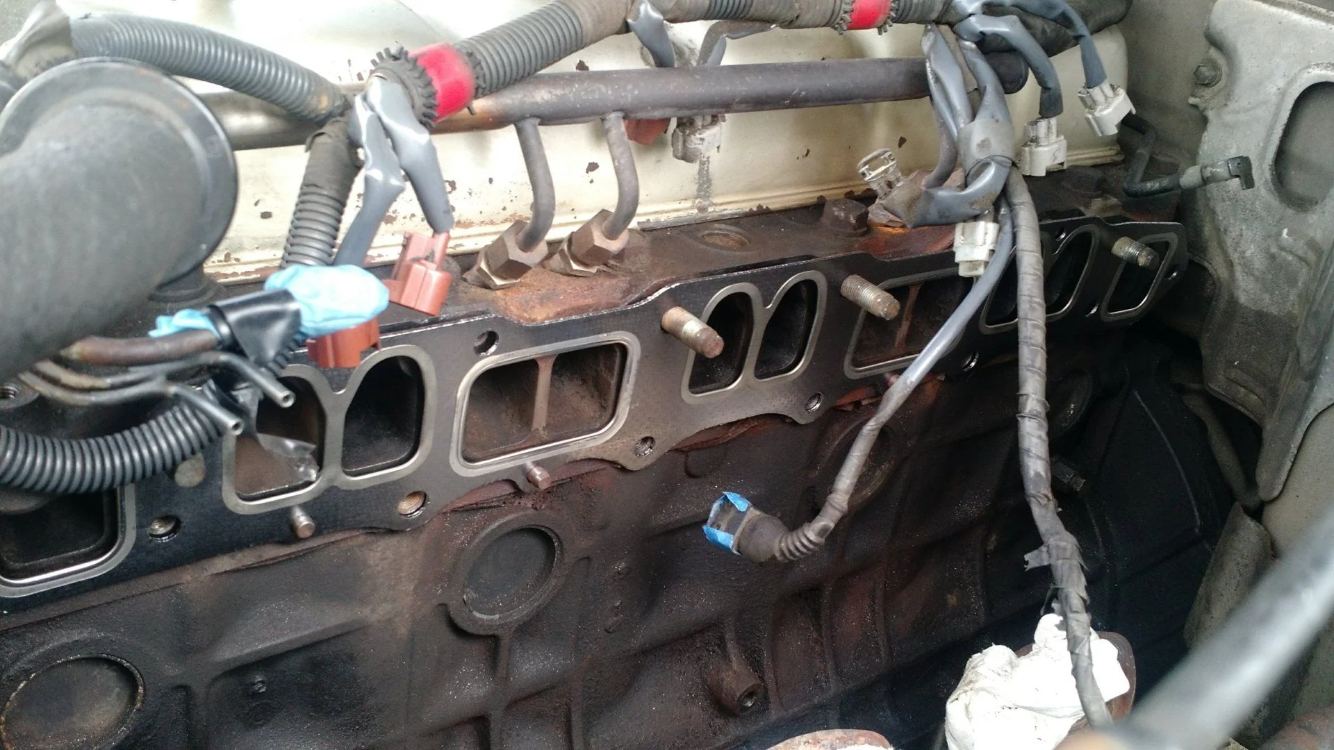 Exhaust Manifold Gasket