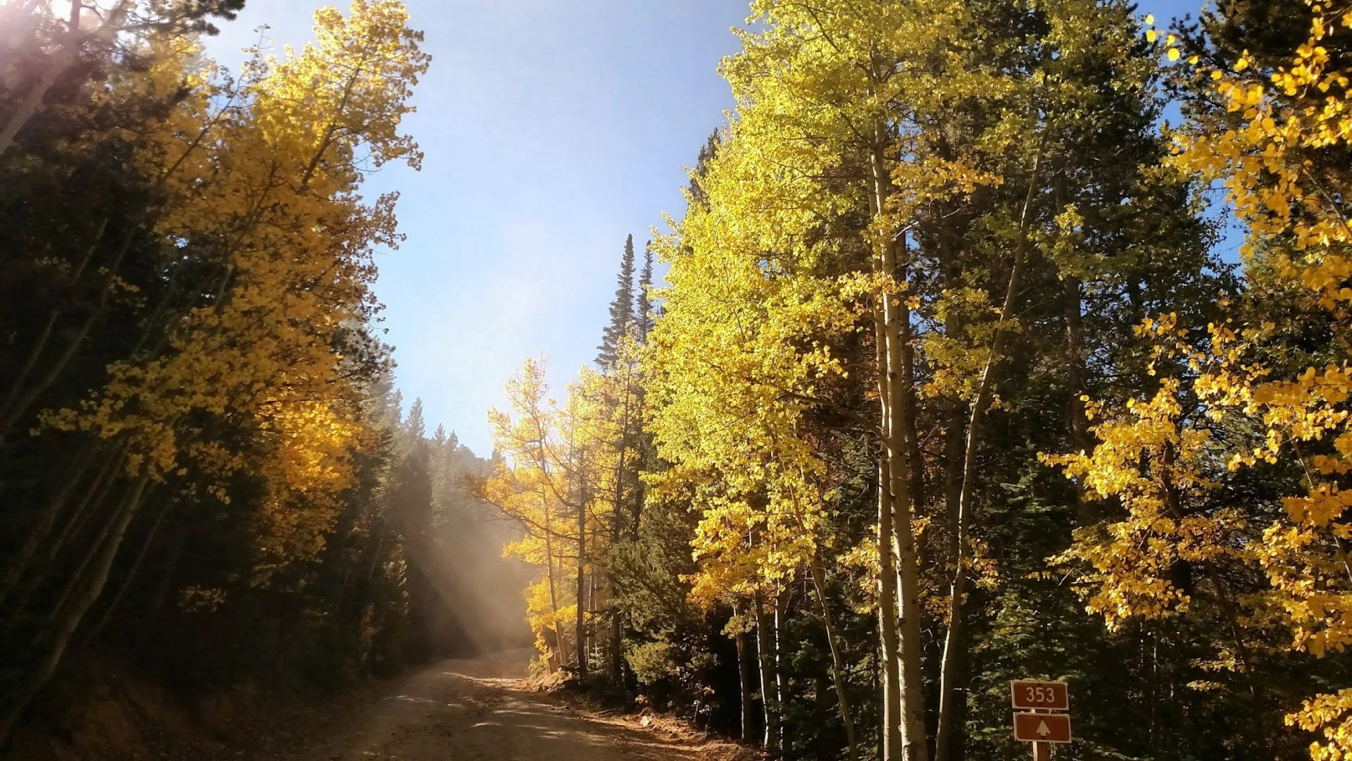 Fall in CO