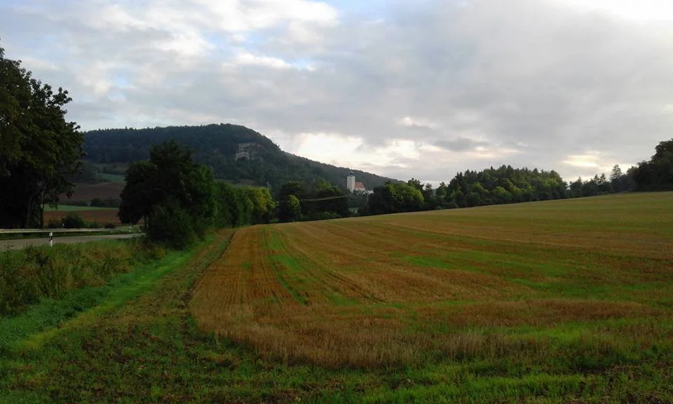 feld