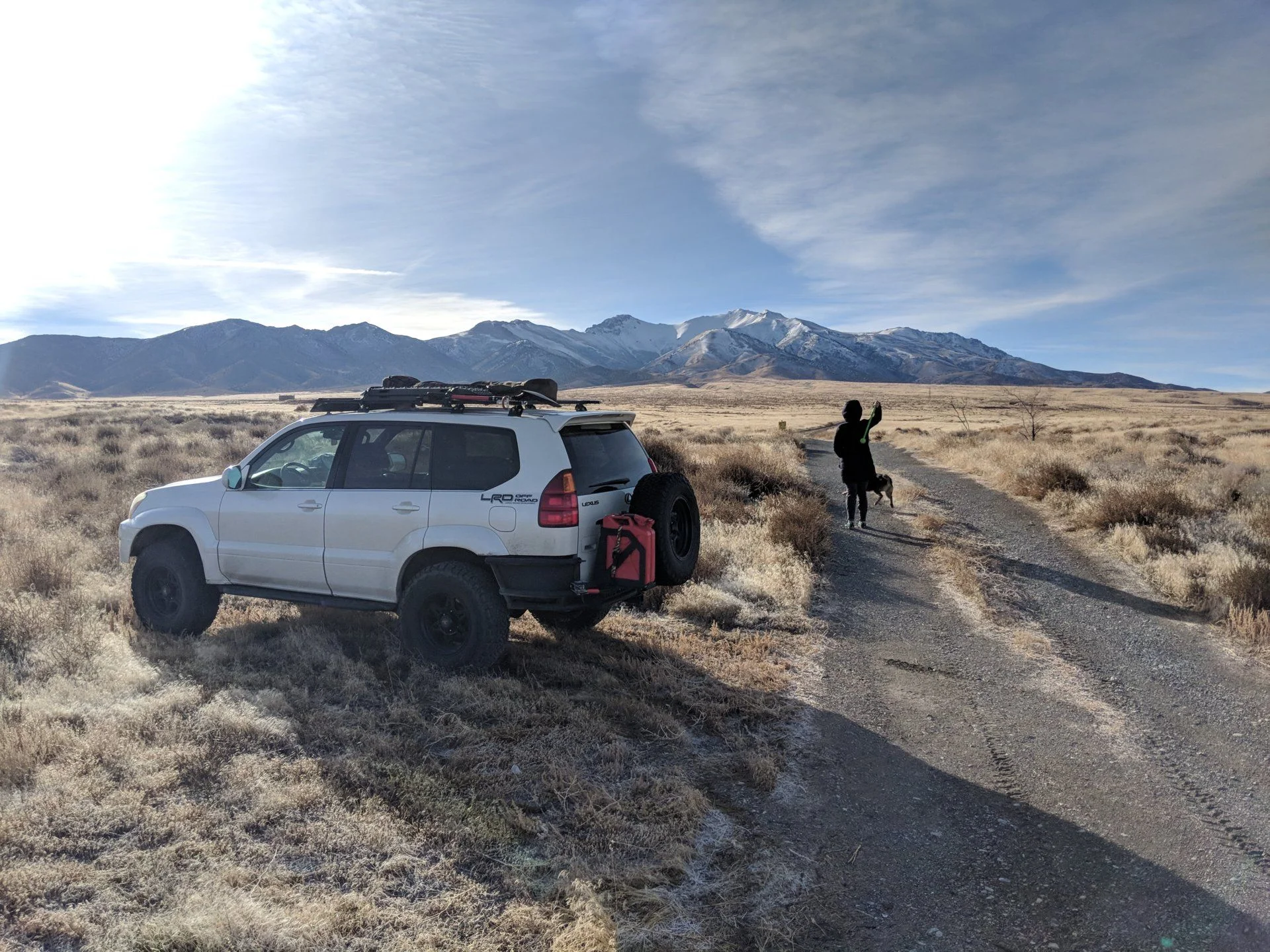Fetch break
