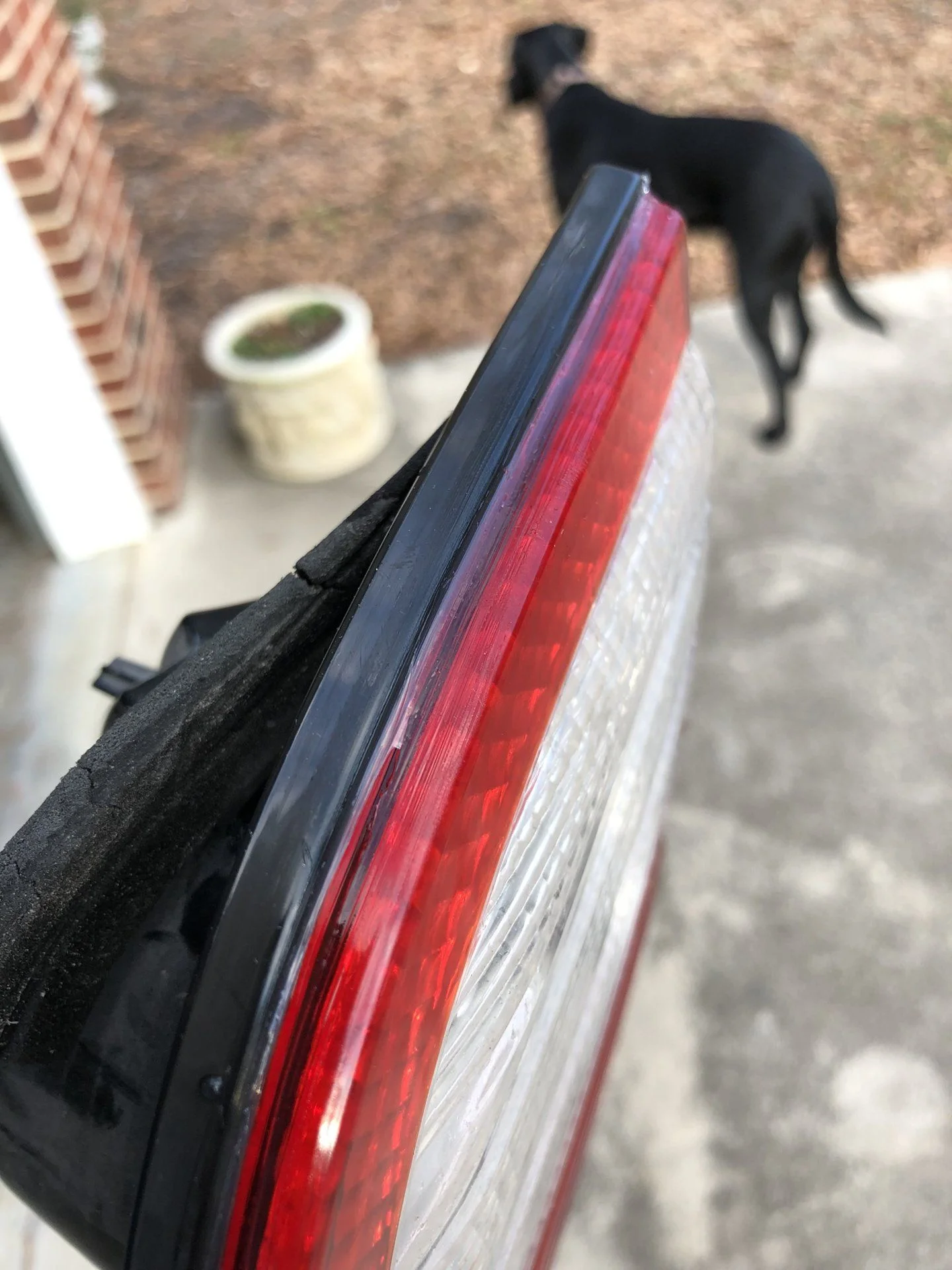 Figured out it was leaking from the top where the housing meets the lens. Clear caulk sealed it back up