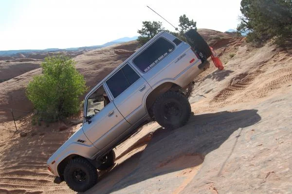 Fins and Things- Moab