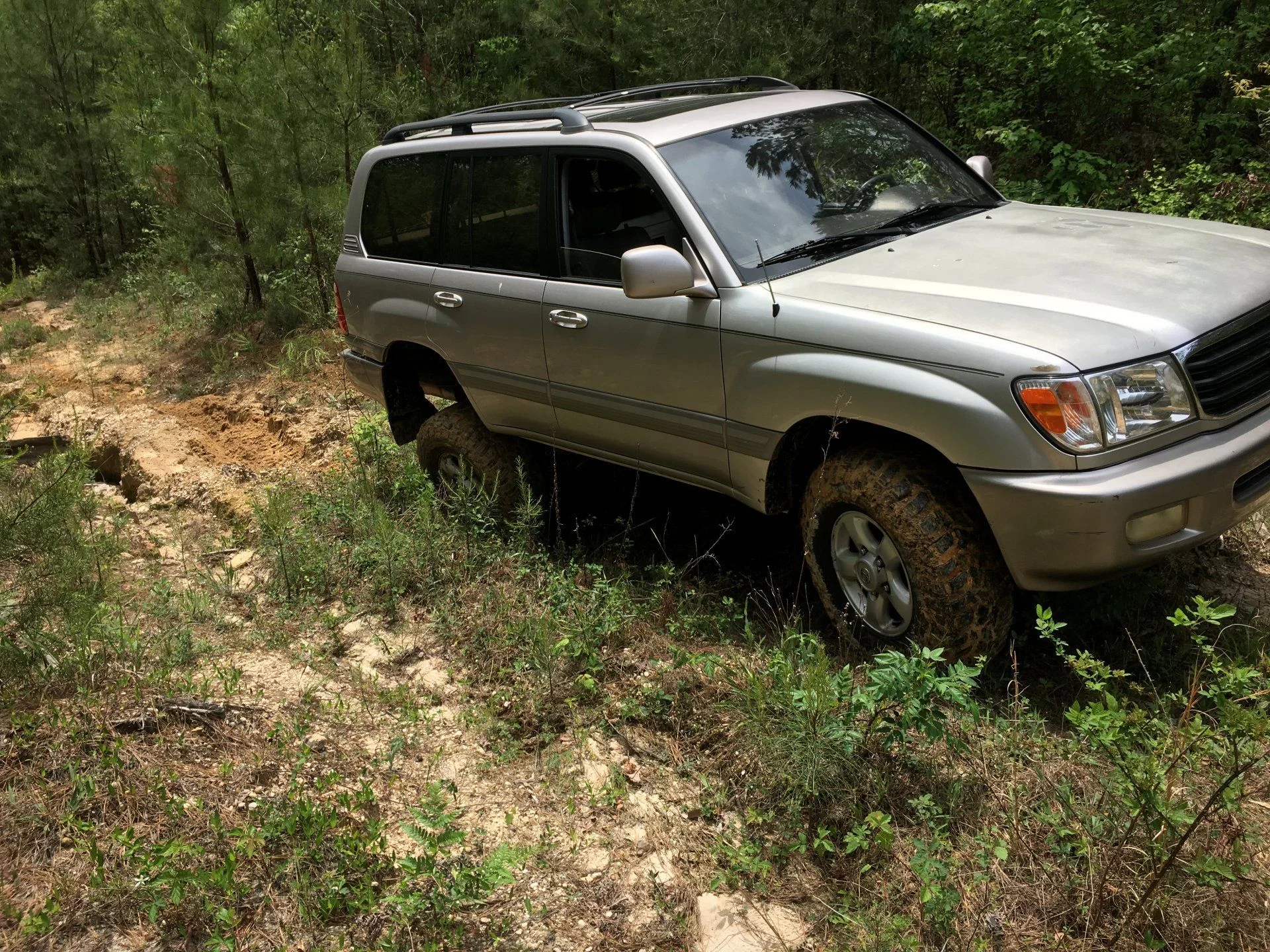 First trail run