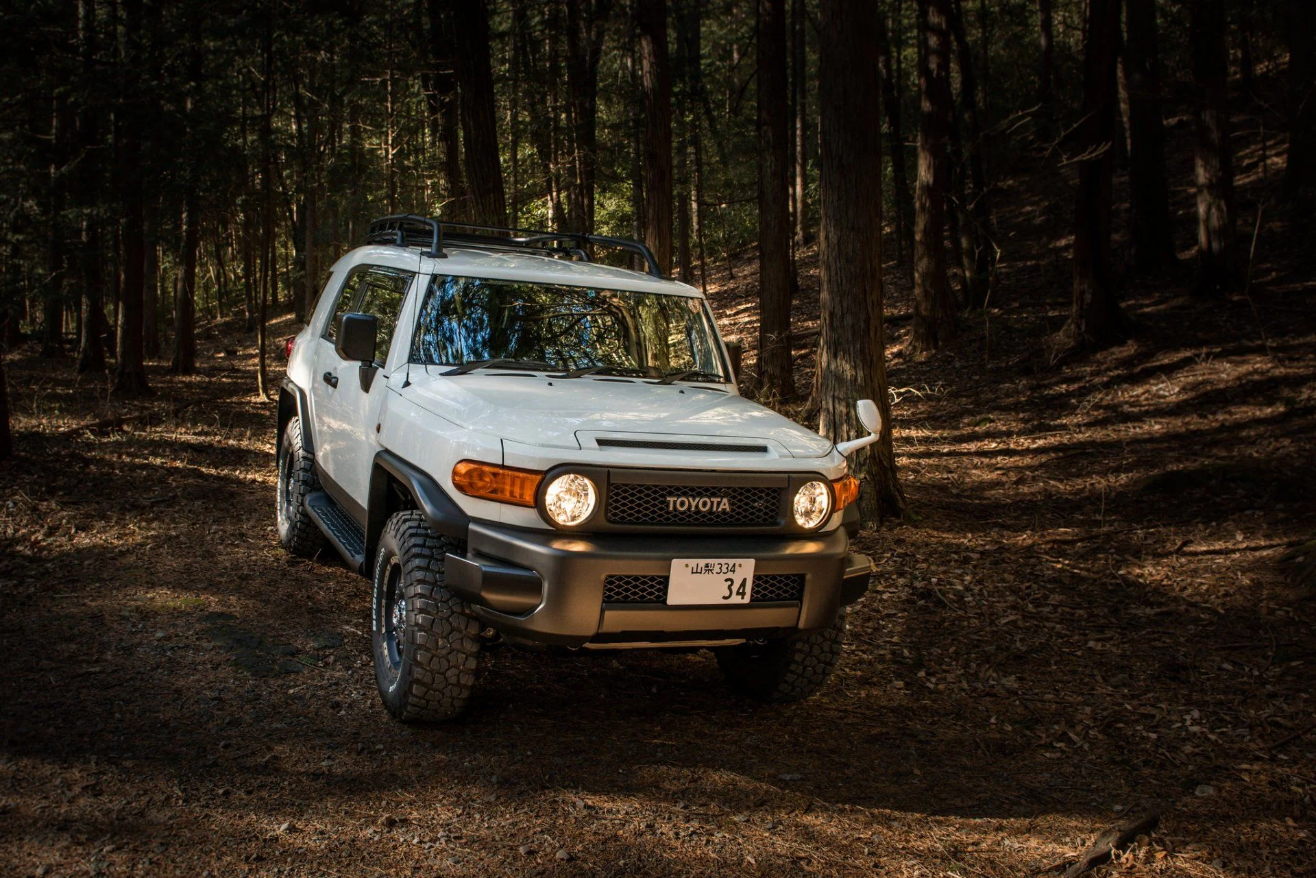 FJ in the forest