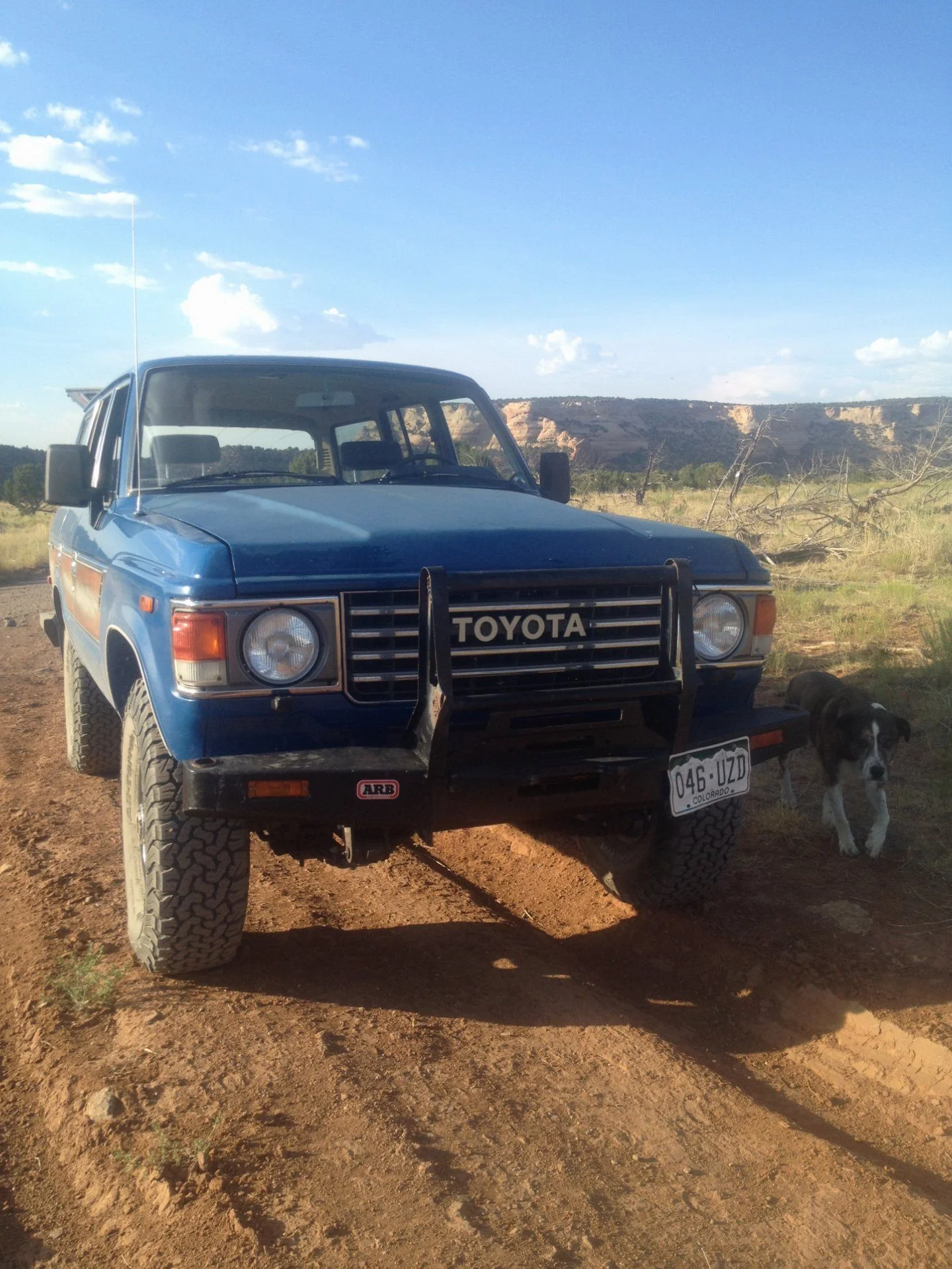 FJ60