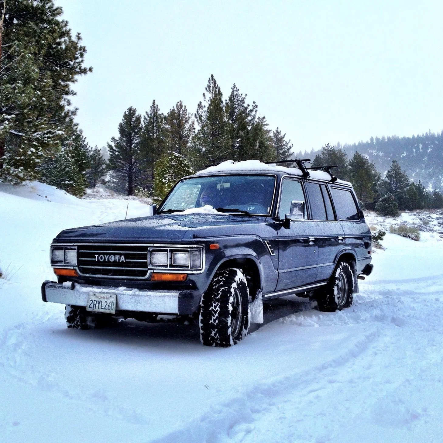 Fj62