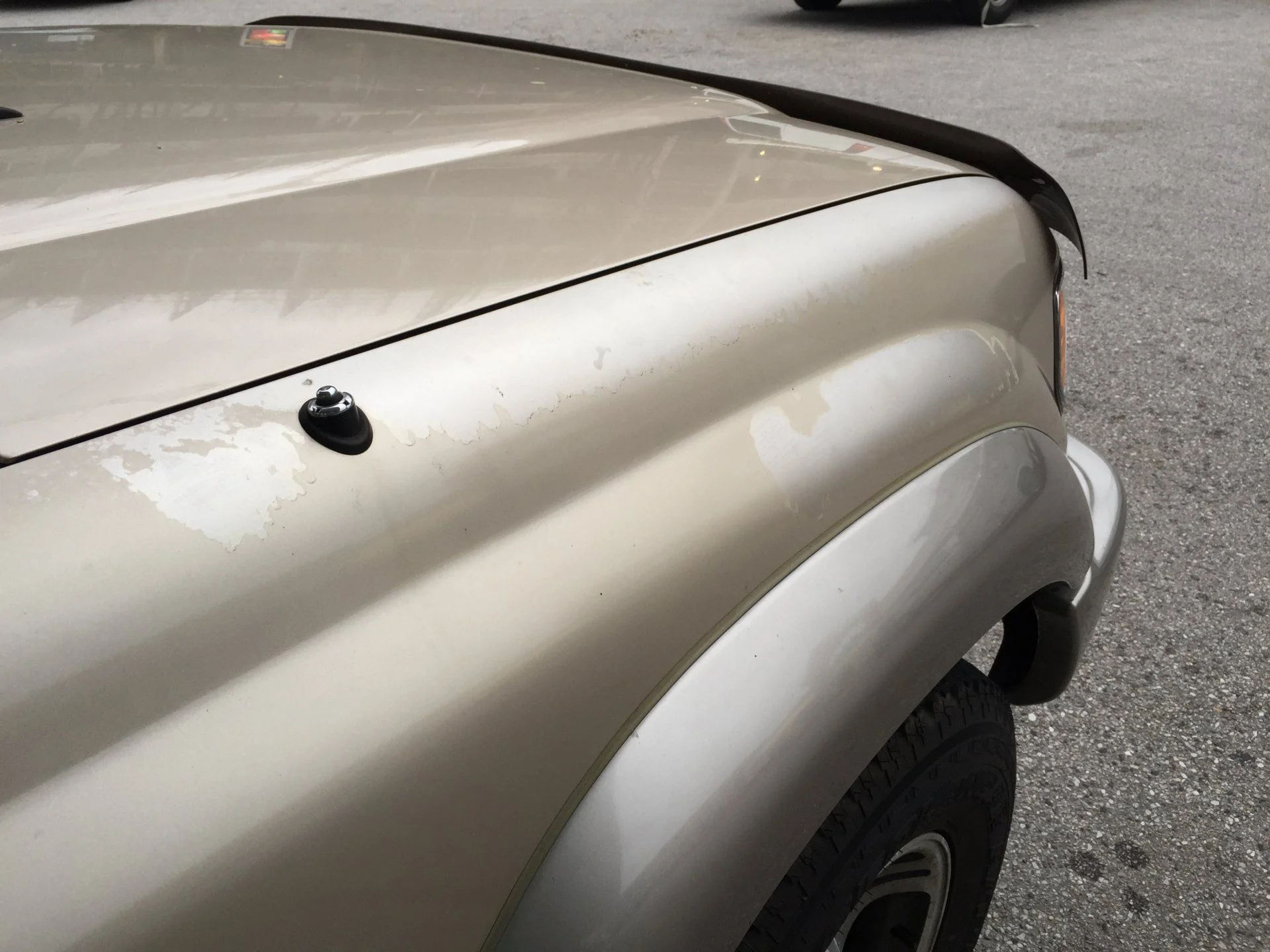 Front fender