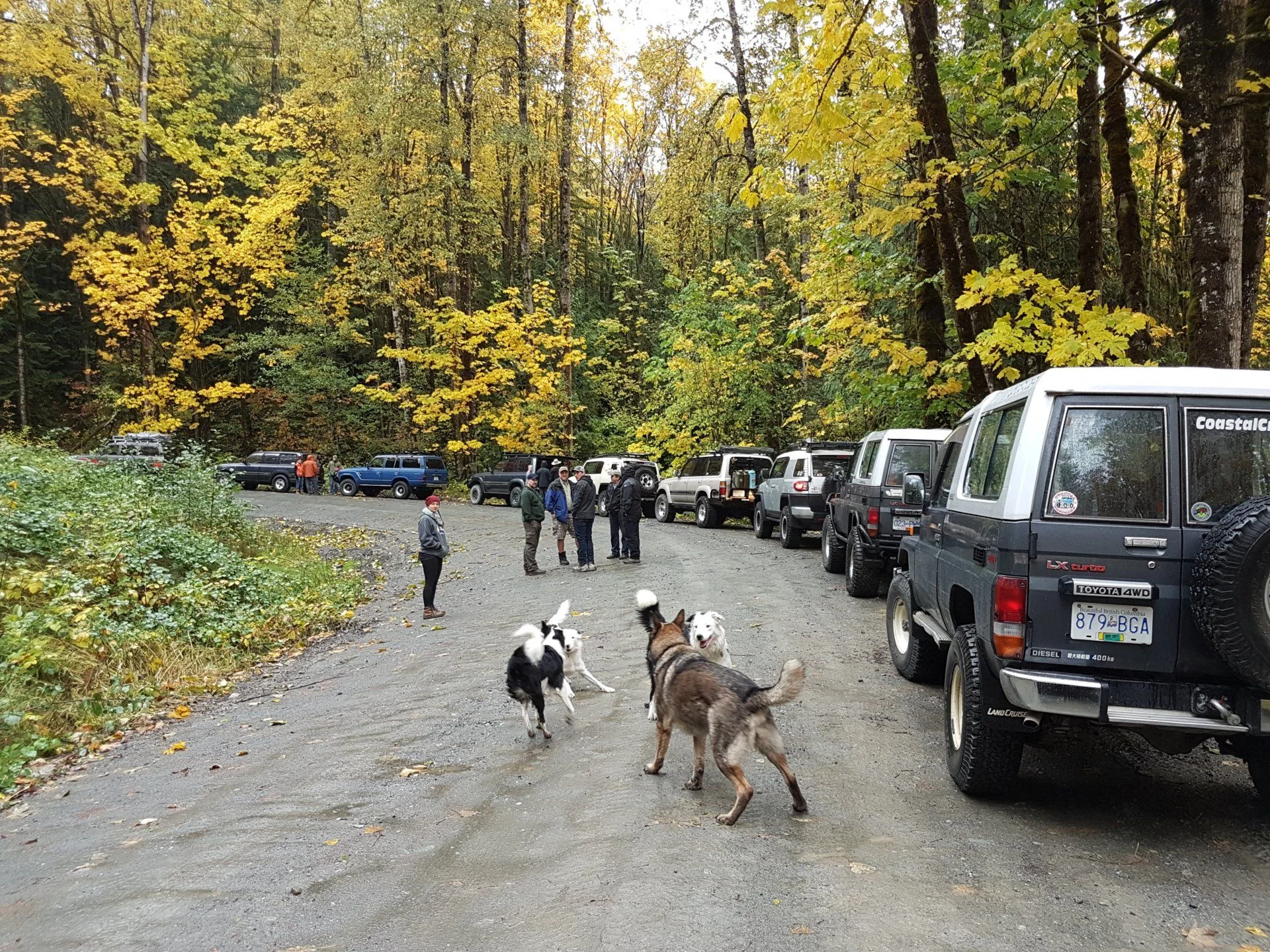 Gary's Annual Fall Thurston Run