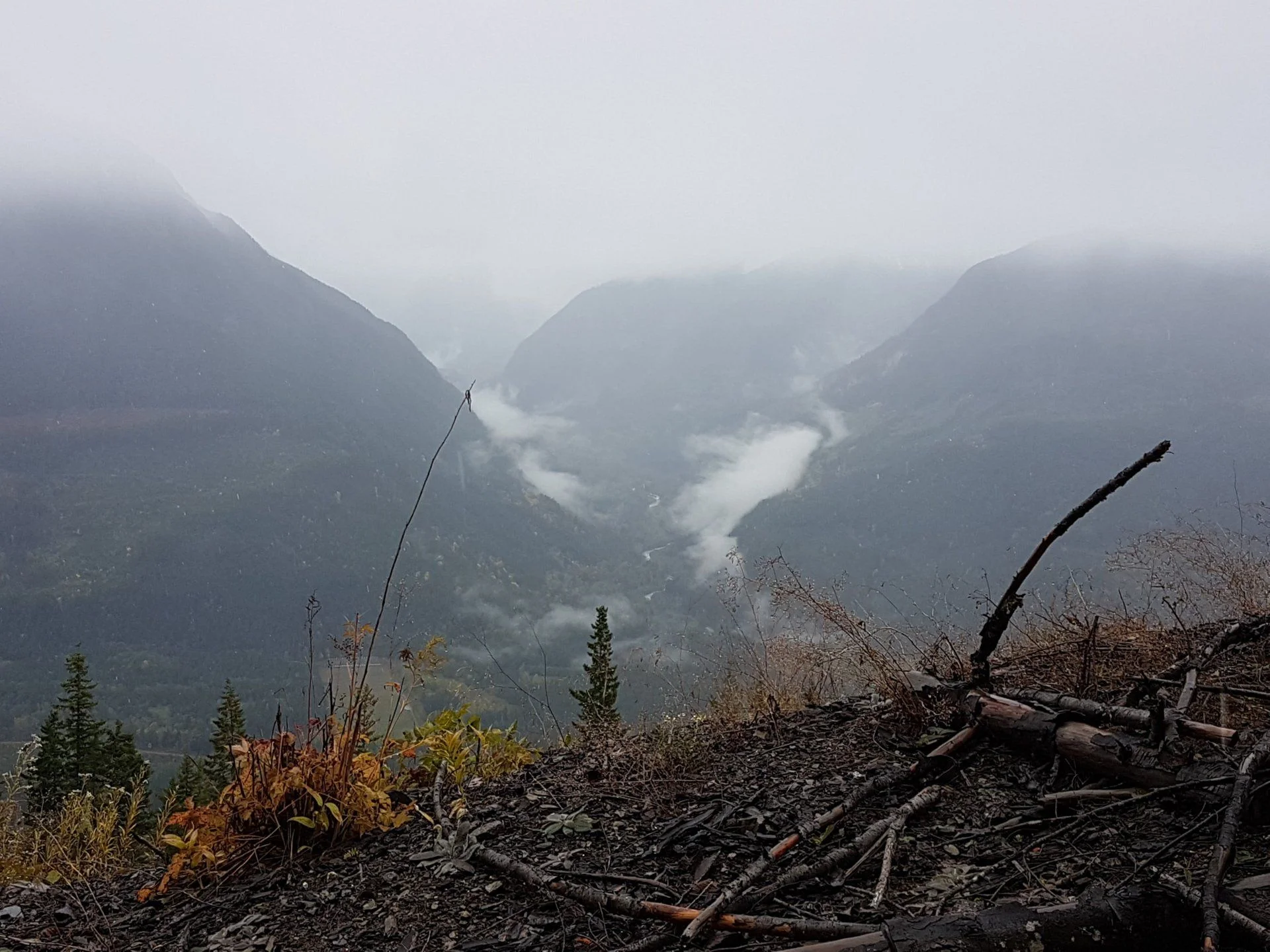 Gary's Annual Fall Thurston Run