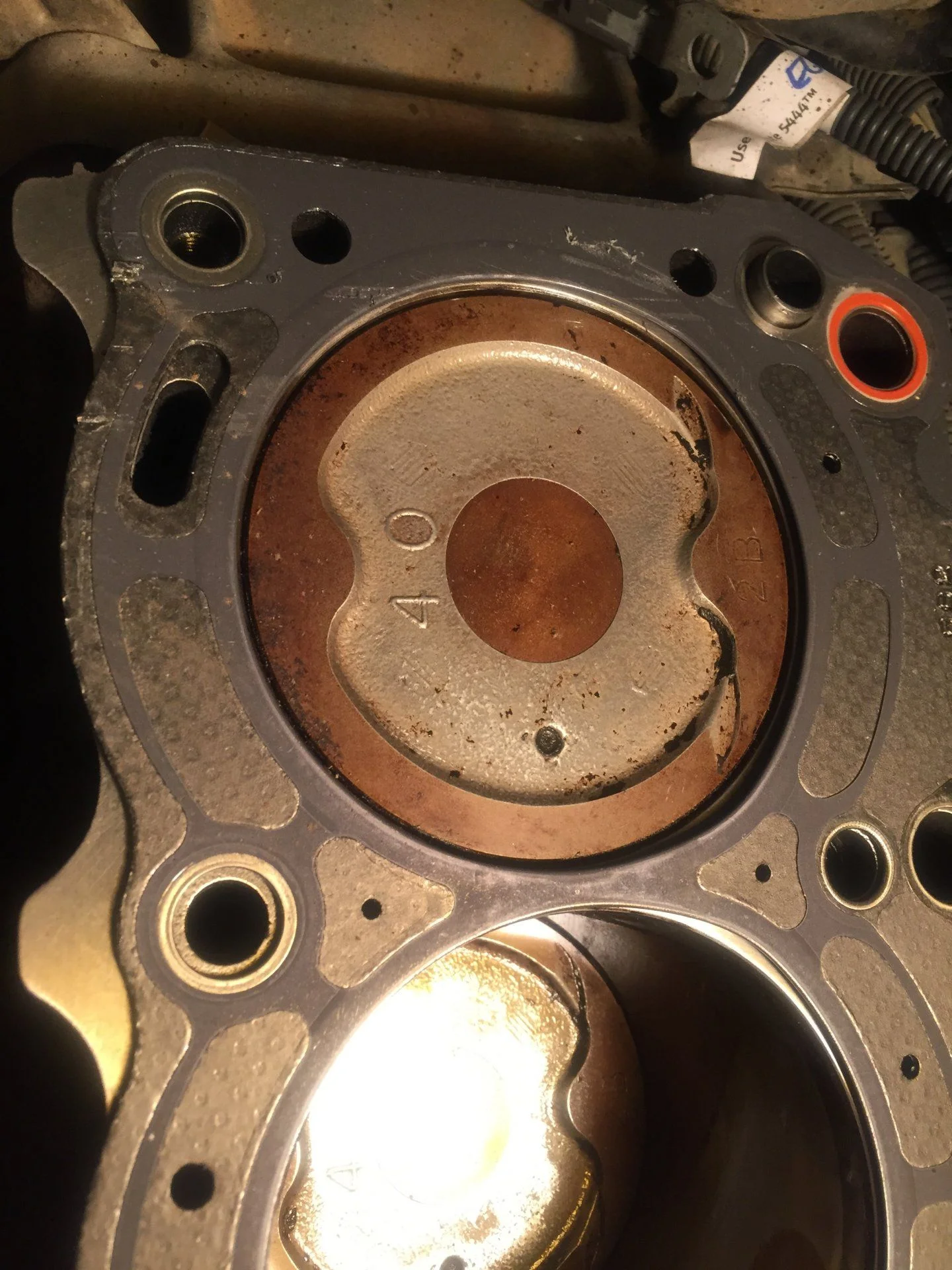 gasket