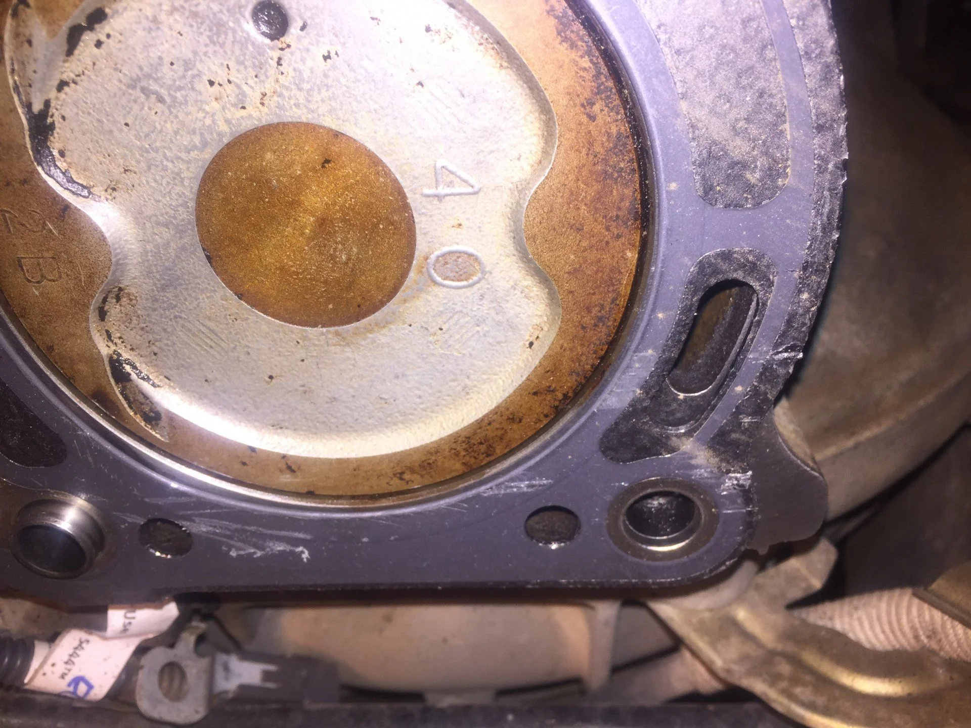 gasket