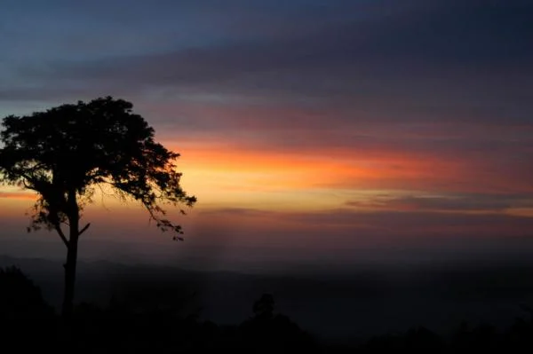 gatabsunset