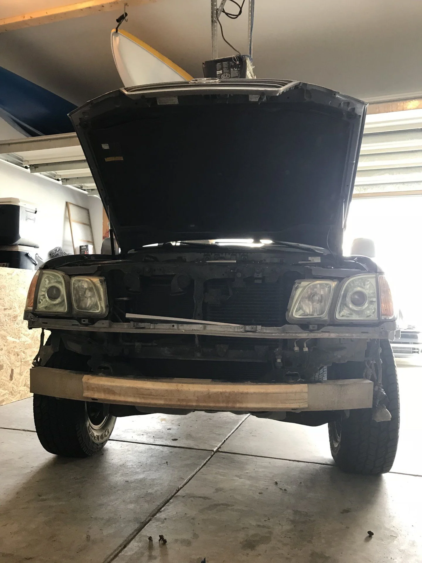 Getting ready for her face lift!