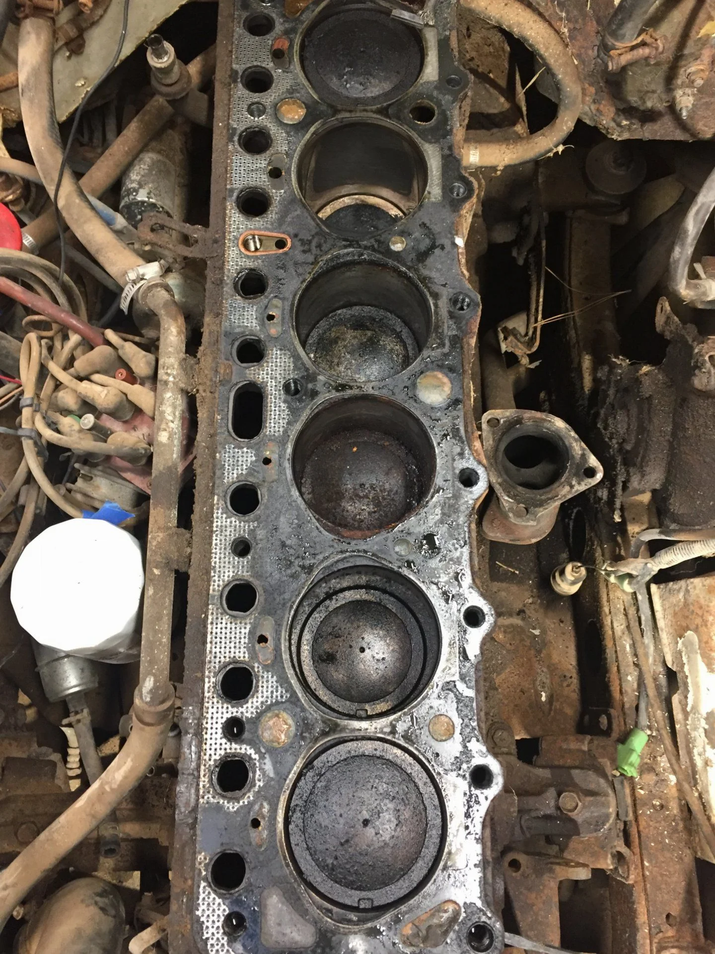 Got the head removed....