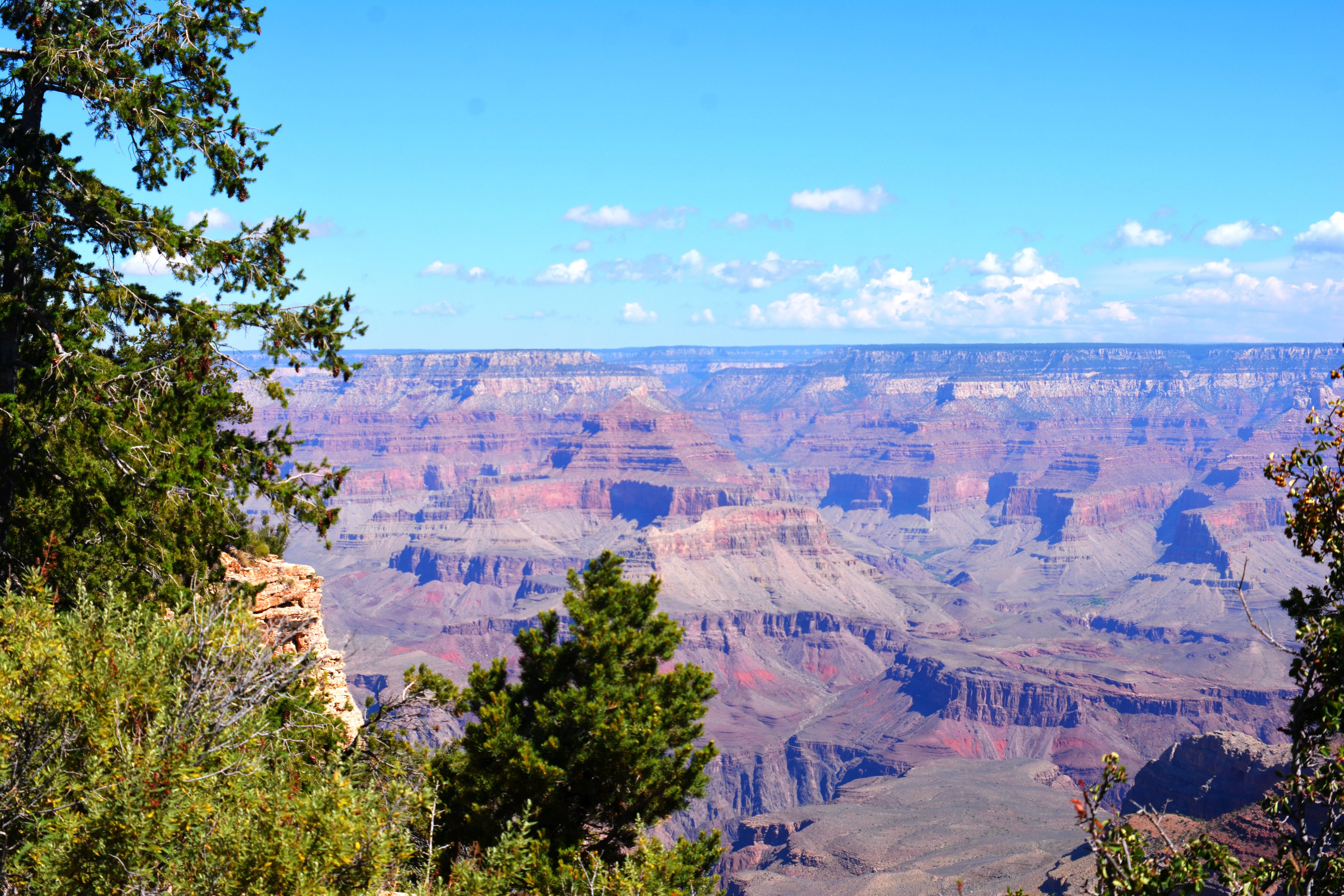 Grand Canyon 1.webp