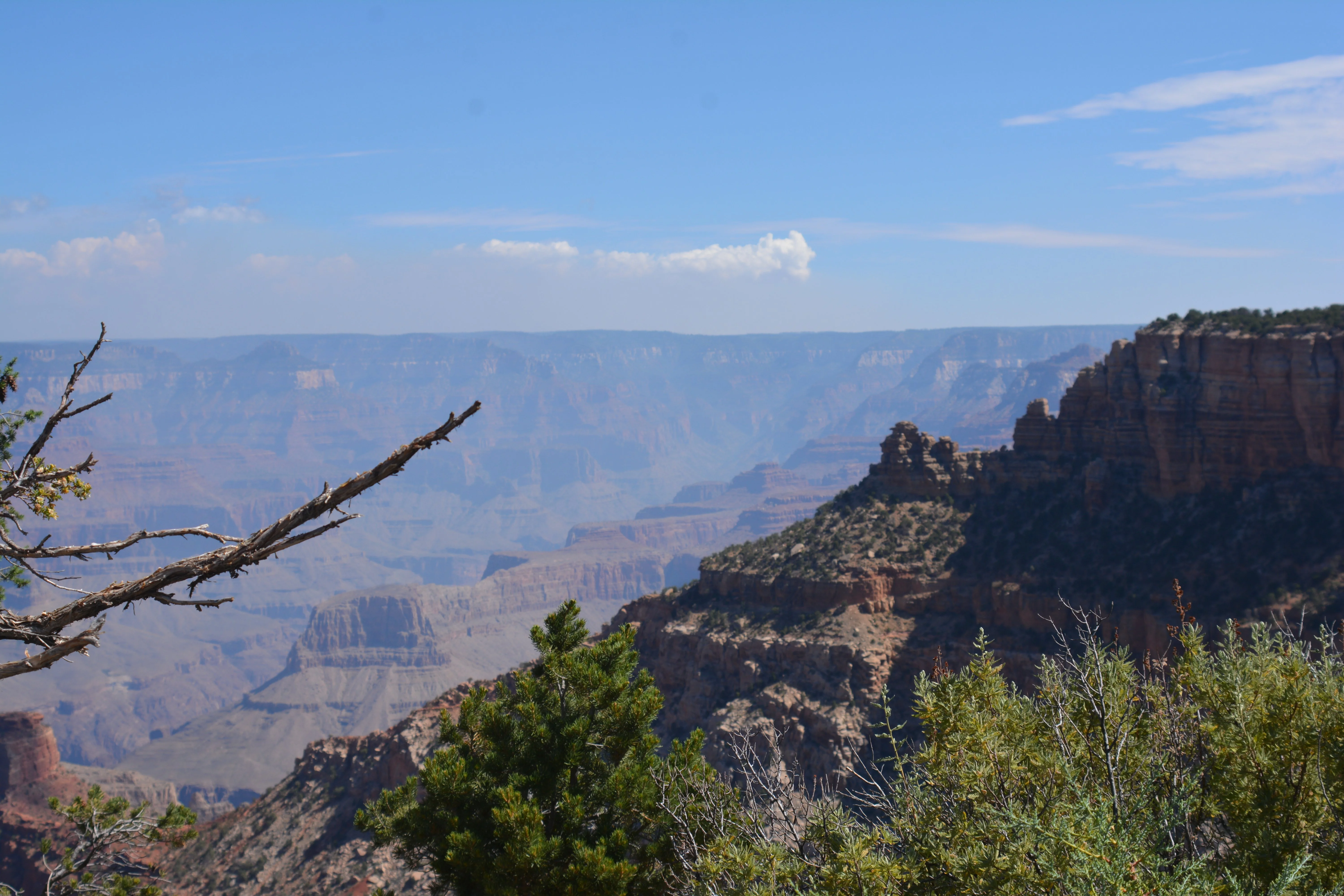 Grand Canyon 3.webp