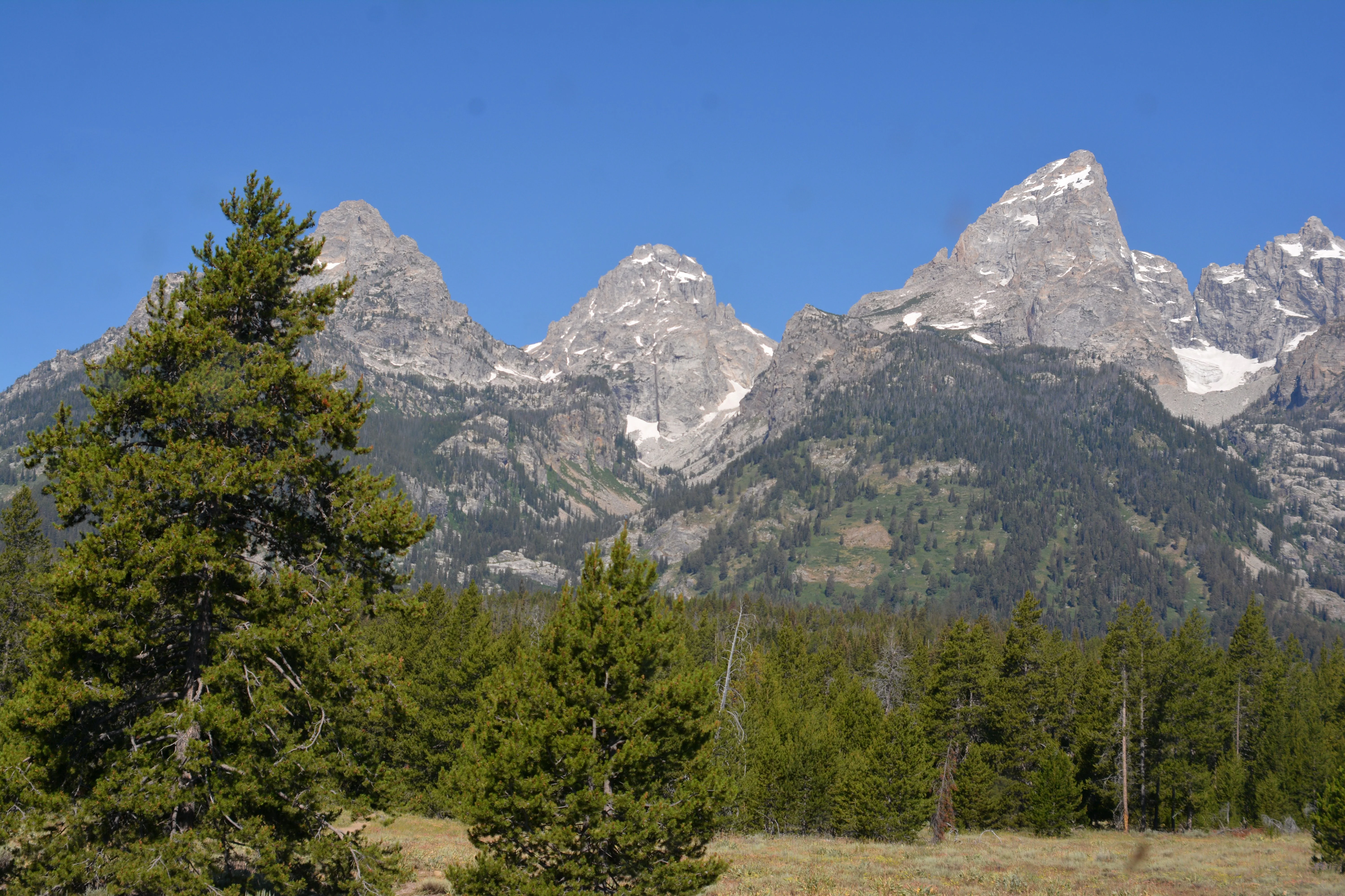 Grand Teaton 1.webp