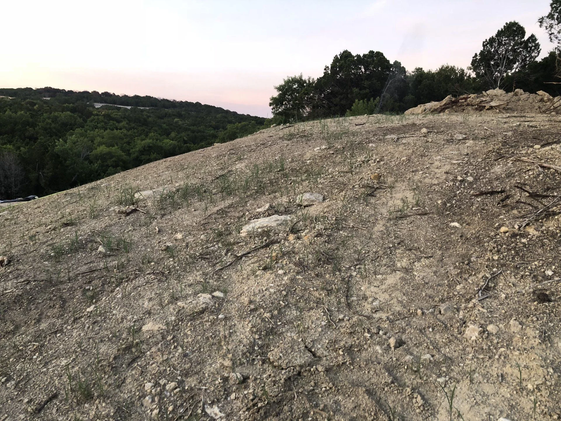 grass on hill