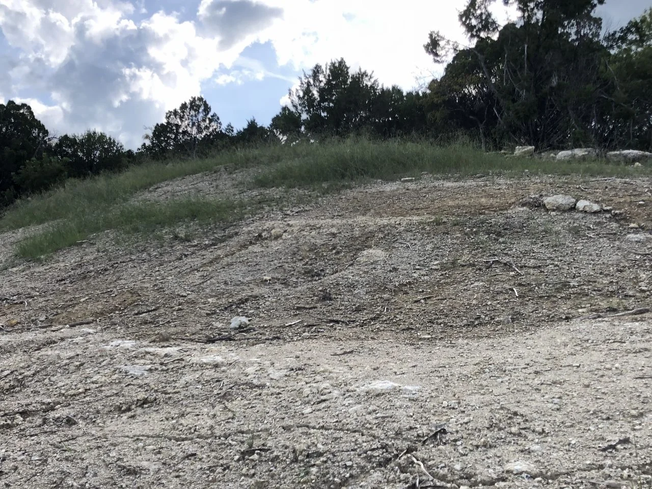 grass on the hill above the house