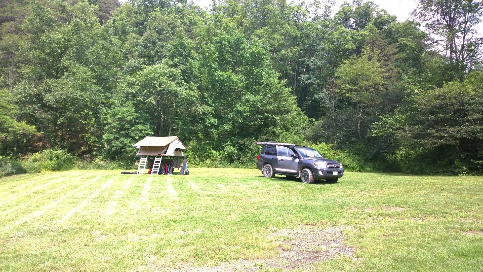 GRSF Rally