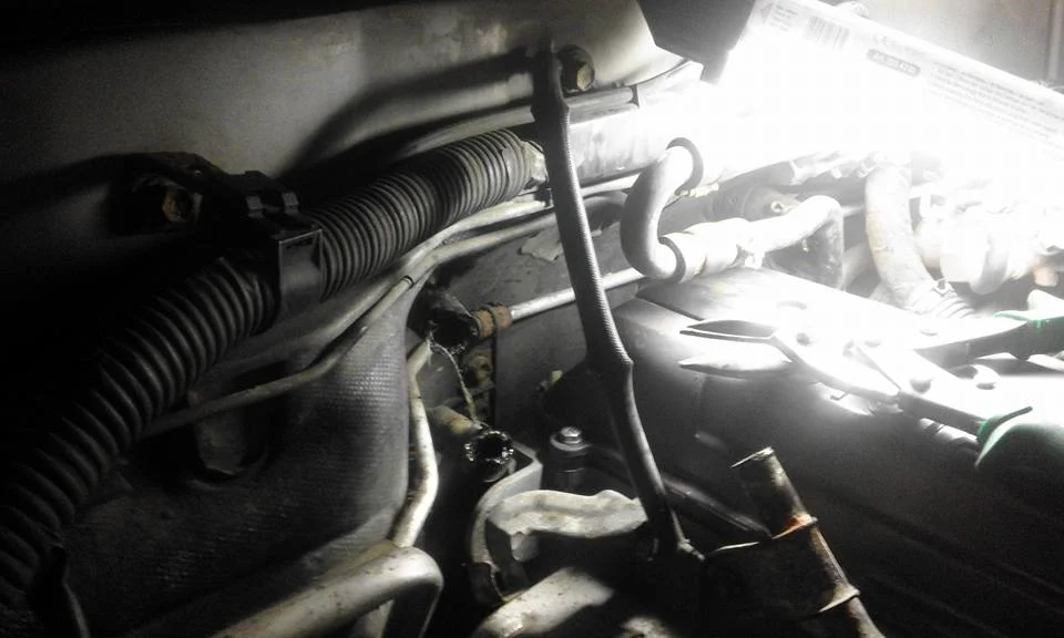 hoses