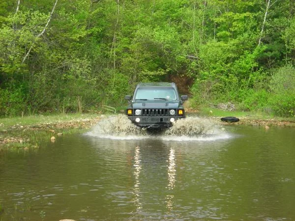 Hummer 014
