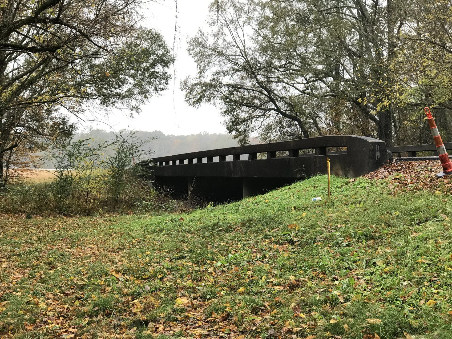 If you see this bridge...