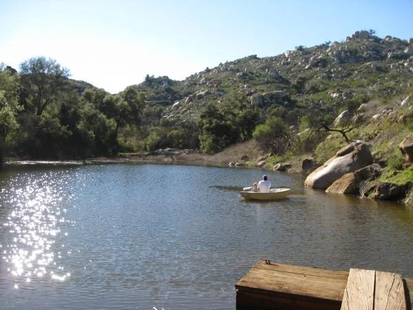 IMG 0501