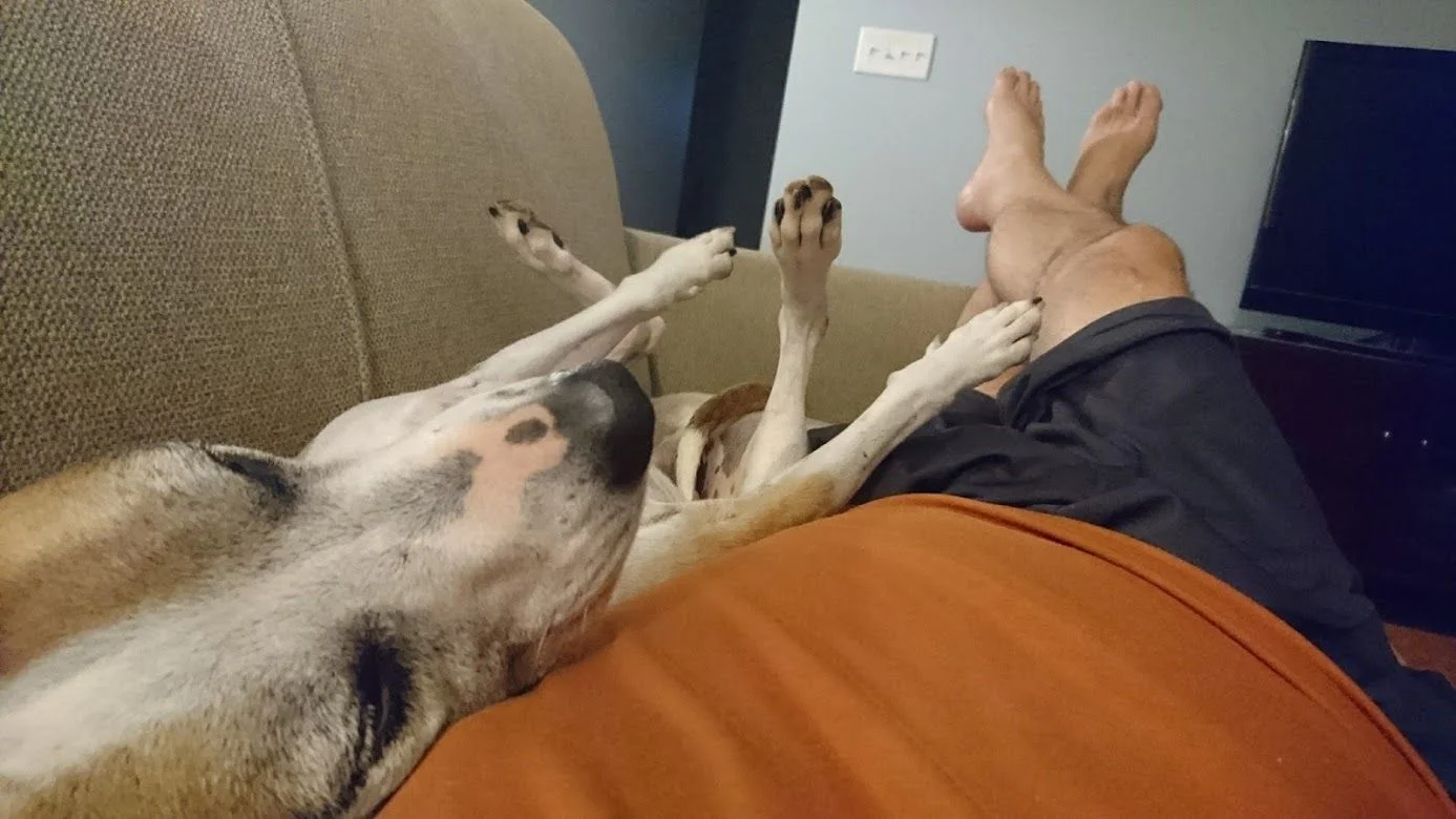 Jacob relaxing