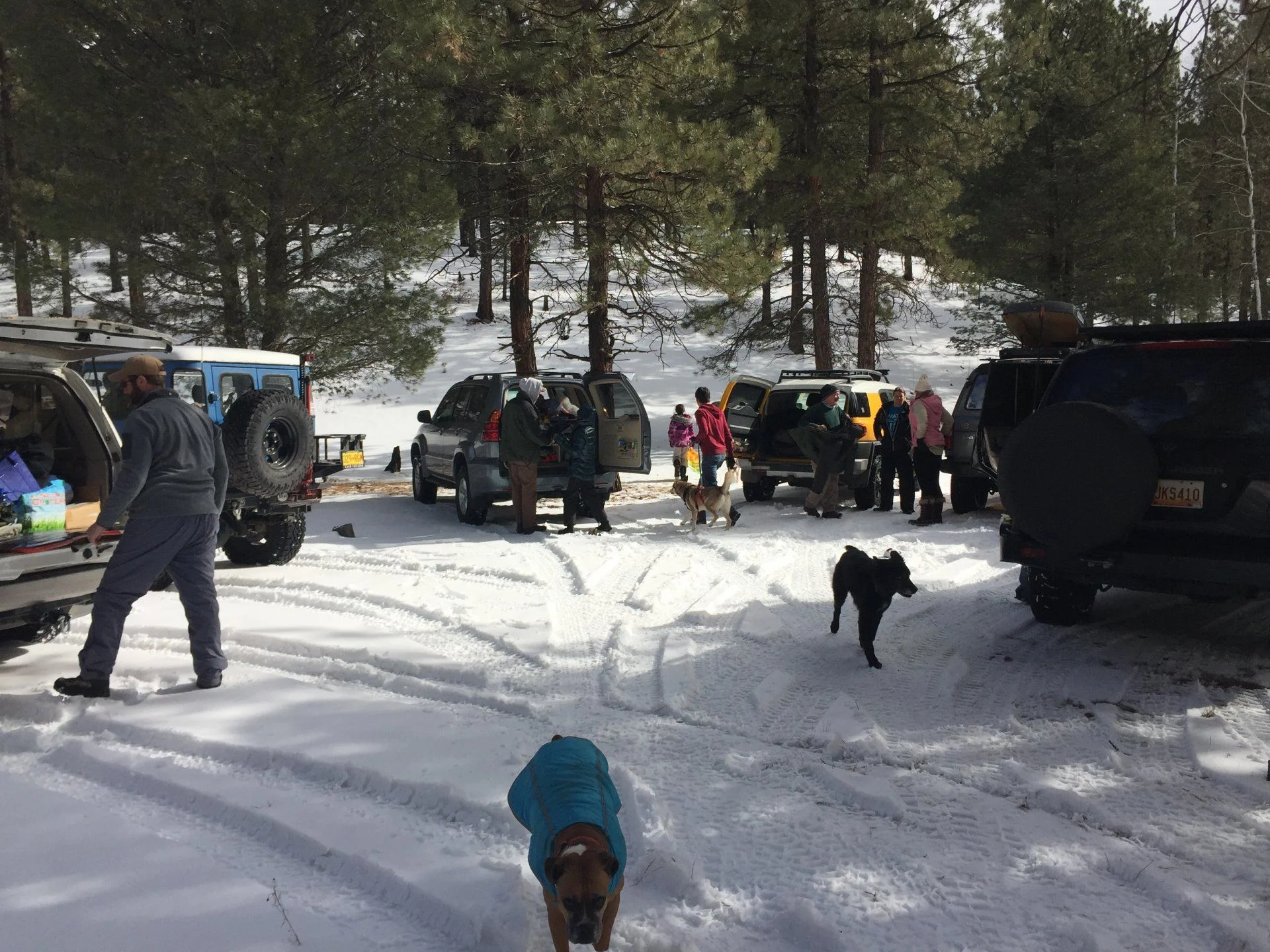 Jemez Snow Run