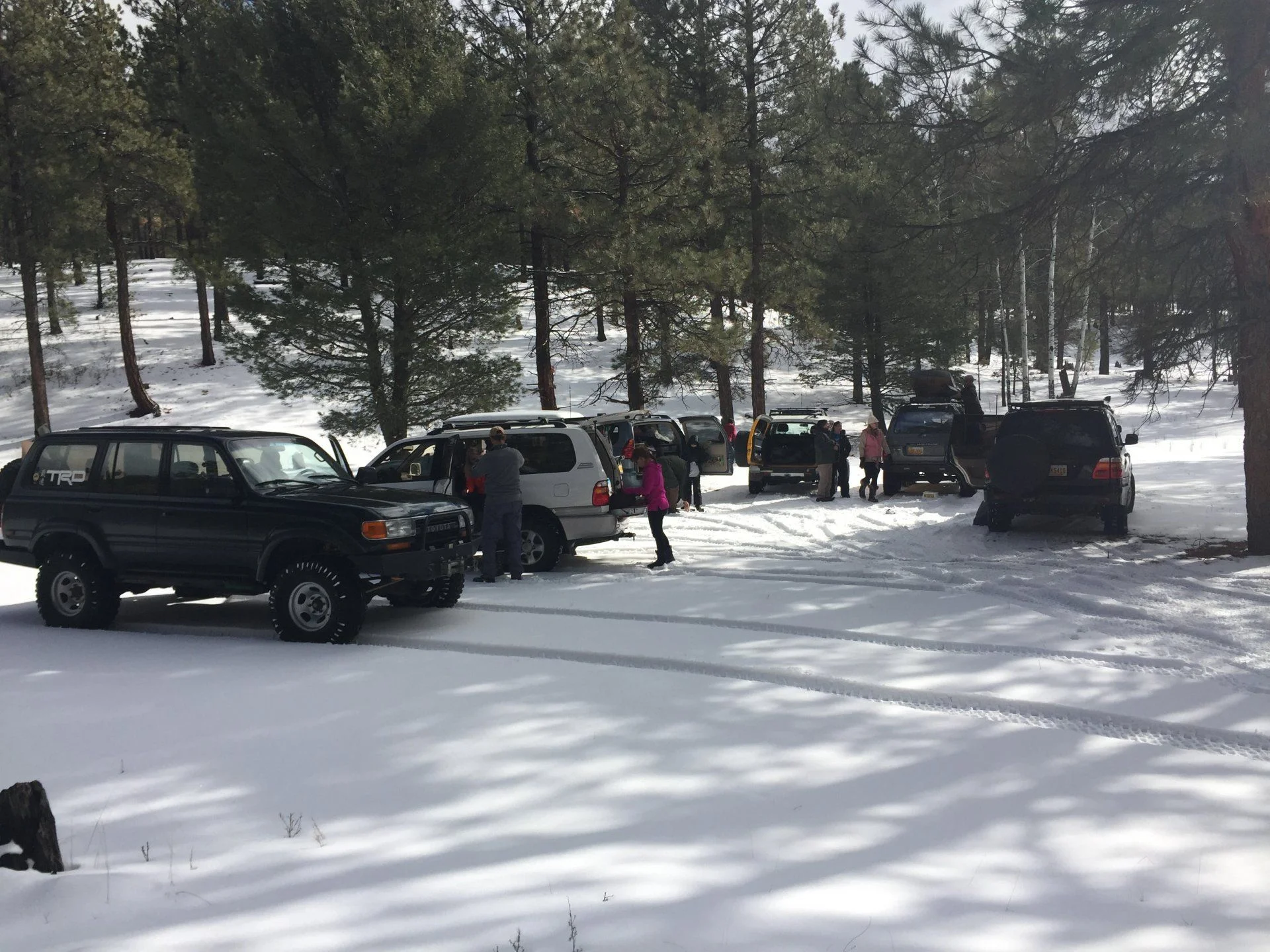 Jemez Snow Run