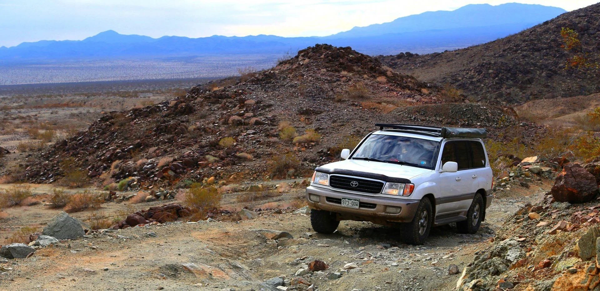 Joshua Tree