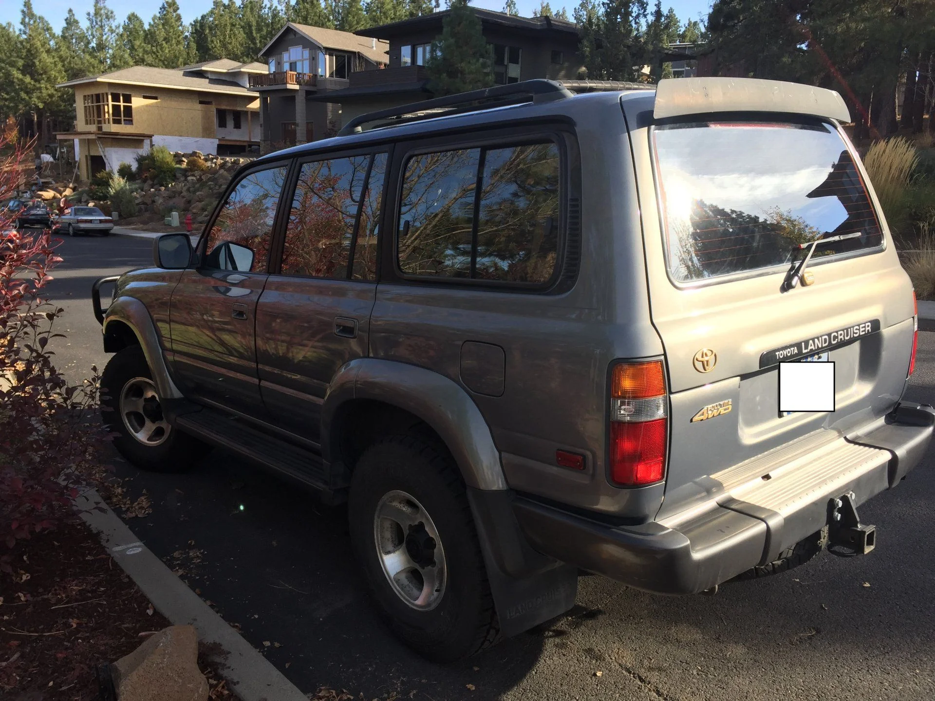 Left Rear Quarter