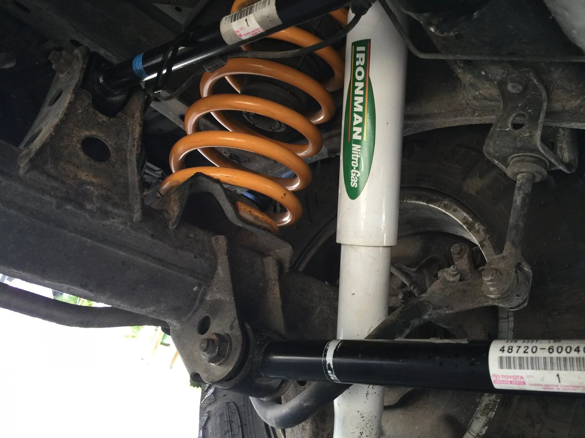 Left Rear Spring