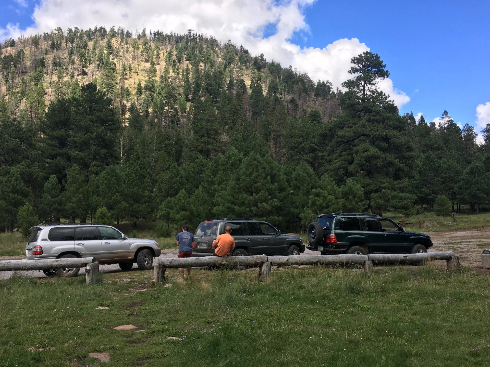 Lockett Meadow