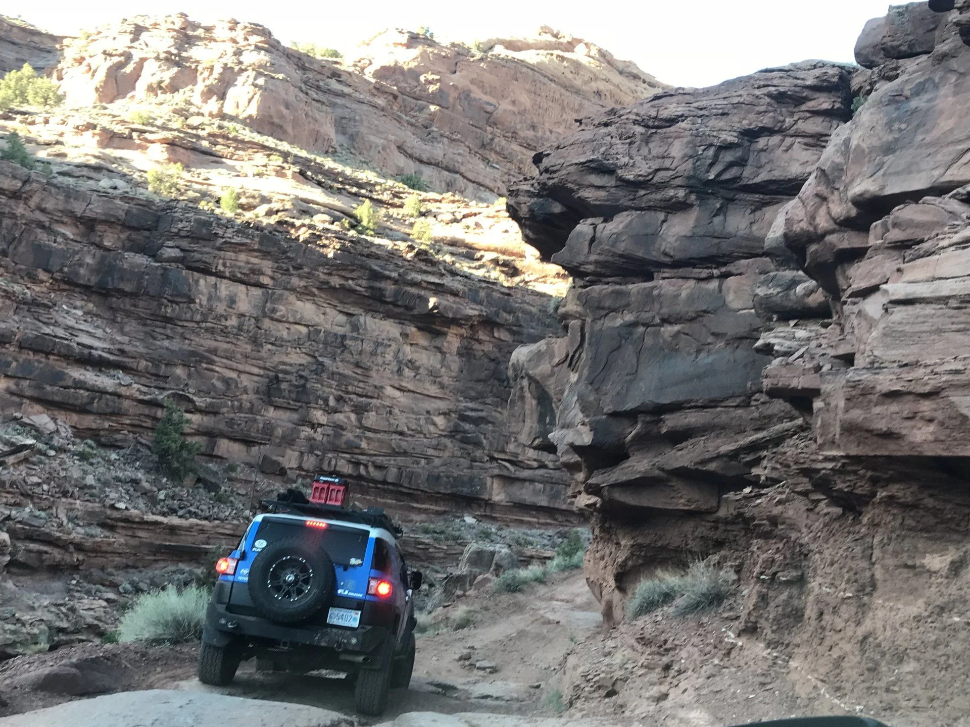 Looking for cavemen