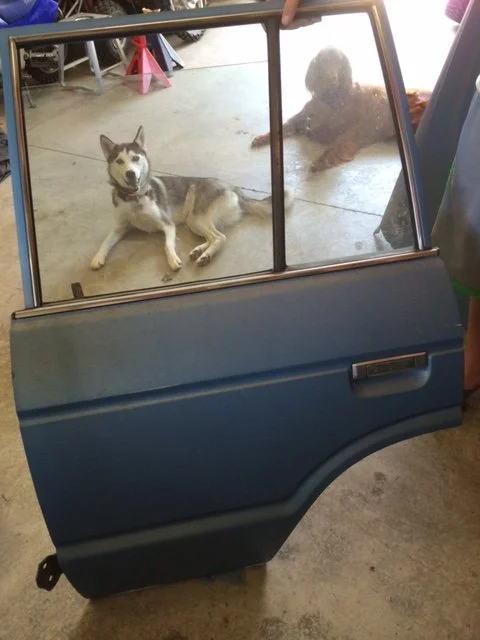 LR Door out