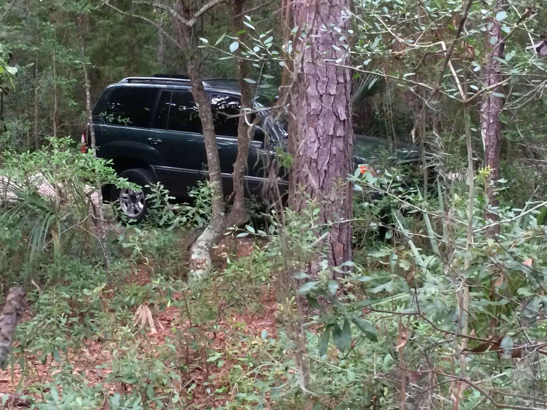 LX470 - Natural Habitat
