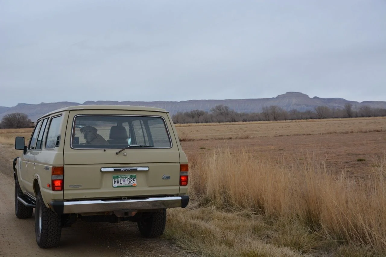 Mandatory Dog Photo.