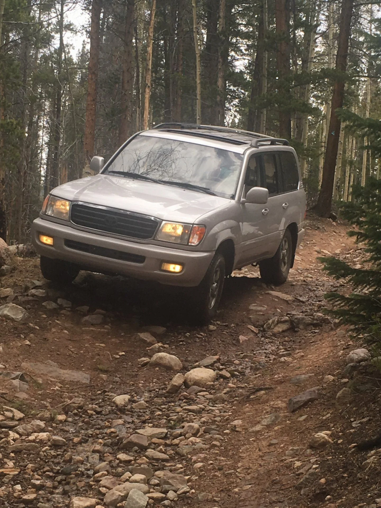 McAllisters gulch in 100 LC