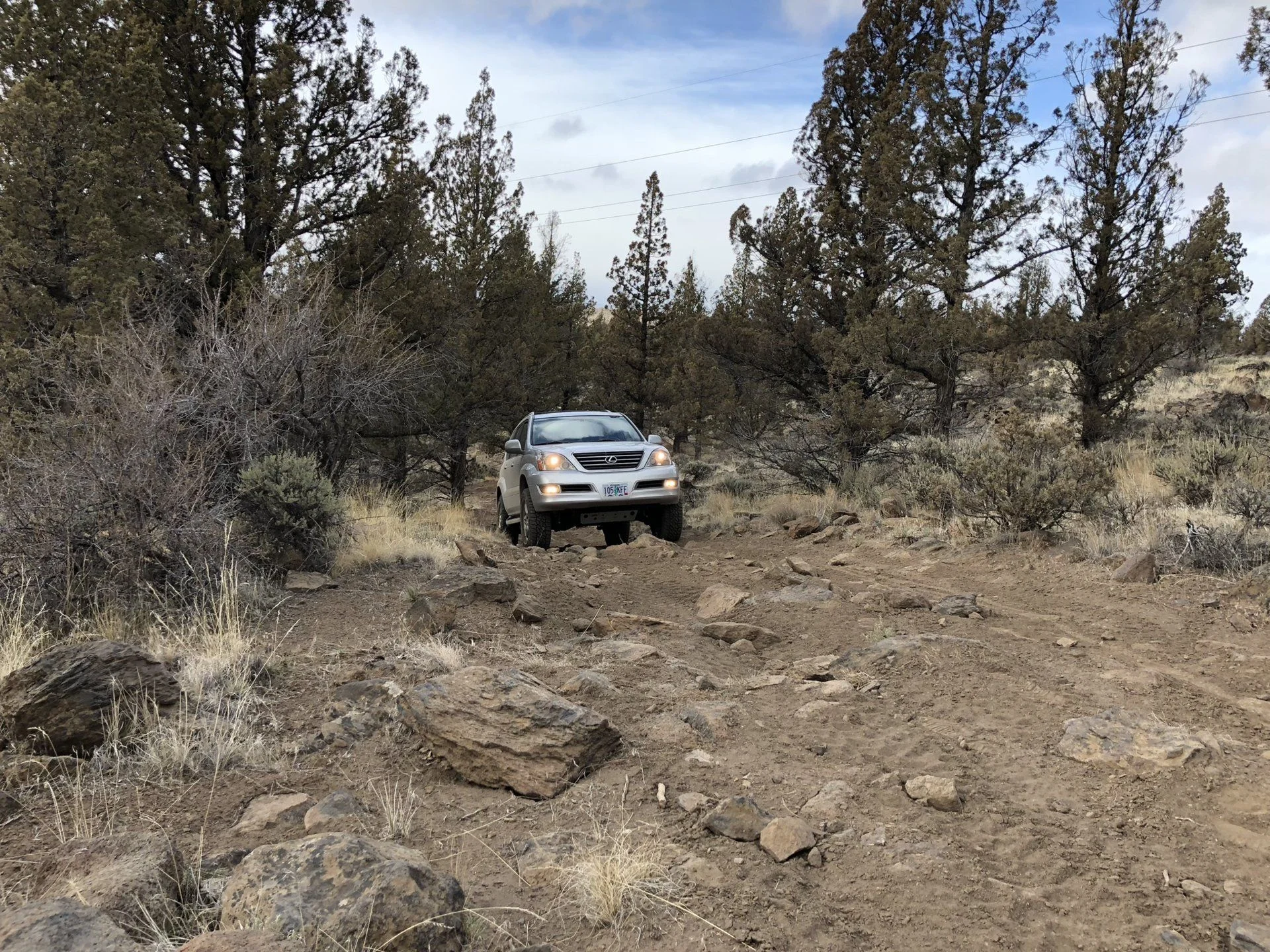 Mild Trail